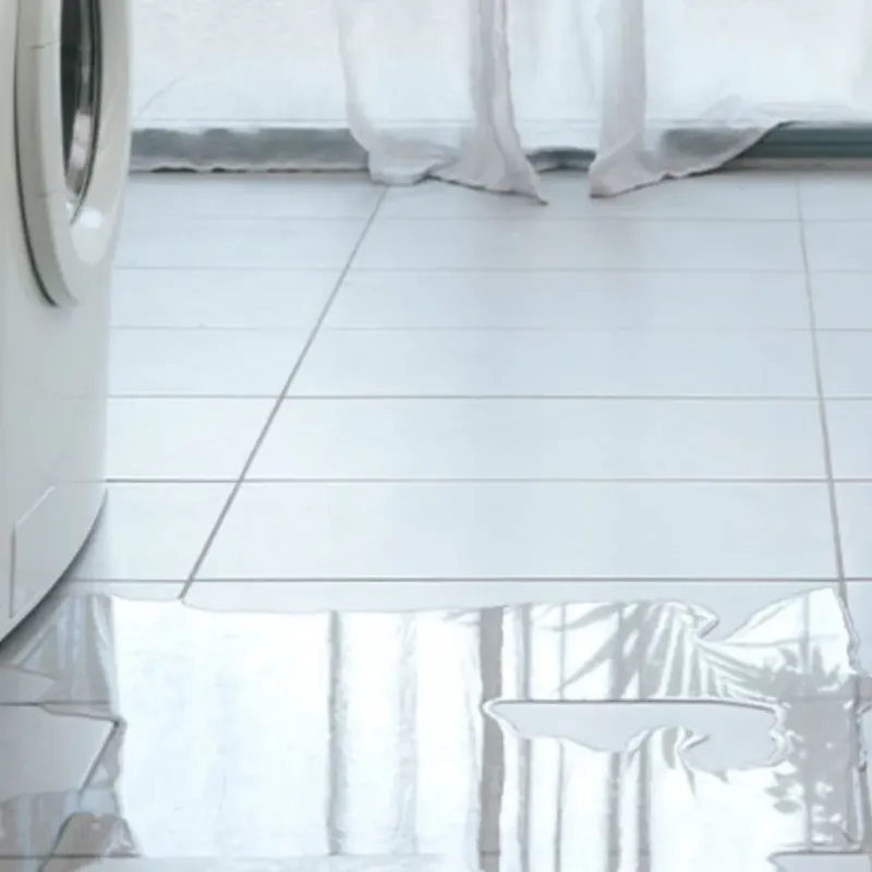 Appliance Leak Cleanup in Flomaton, AL