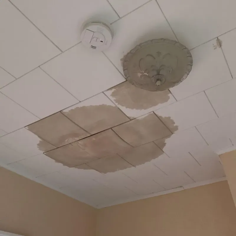 Ceiling Water Damage Repair in Flomaton, AL